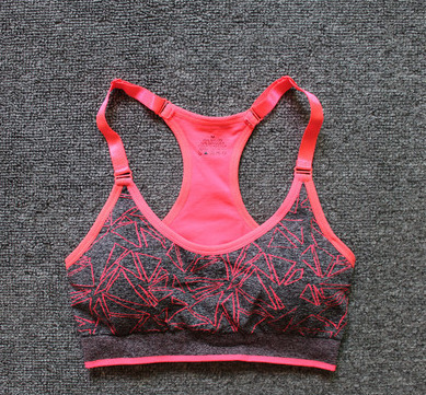 Quick Drying Elastic Sports Bra