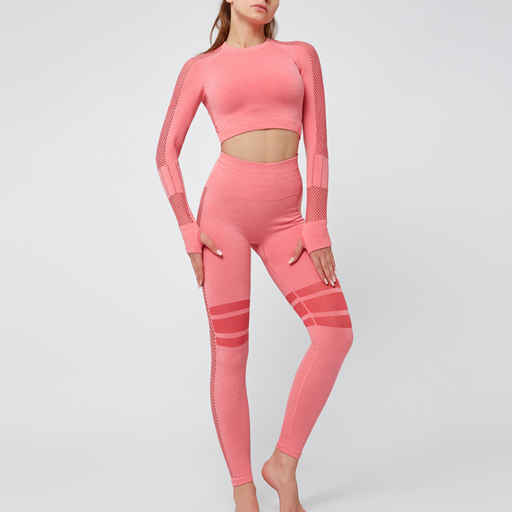 Two Piece Sleeved Yoga Suit