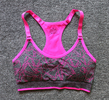 Quick Drying Elastic Sports Bra